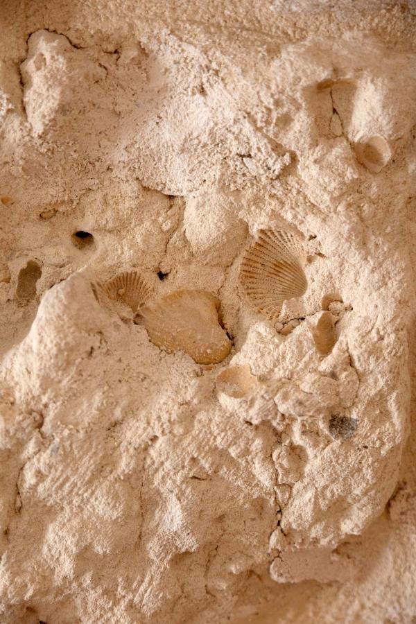 Apulian House Hotel Brindisi Buitenkant foto